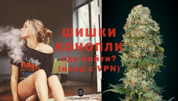 трава Магас