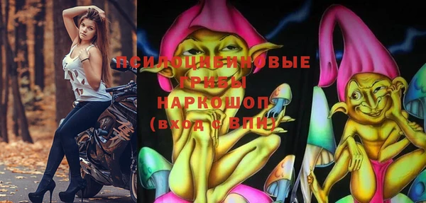 трава Магас