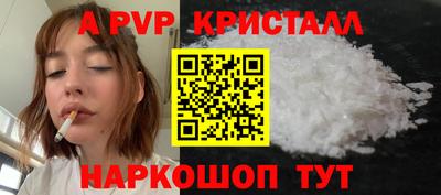 гашик Будённовск