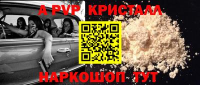 гашик Будённовск