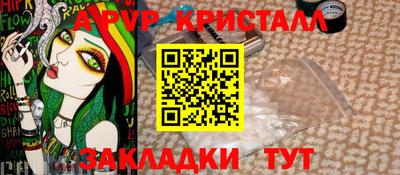 гашик Будённовск