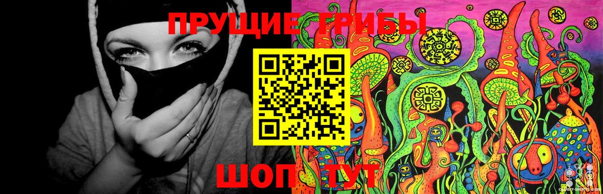 Псилоцибиновые грибы прущие грибы  Псилоцибиновые грибы MAGIC MUSHROOMS  Нарткала  Вход с VPN 